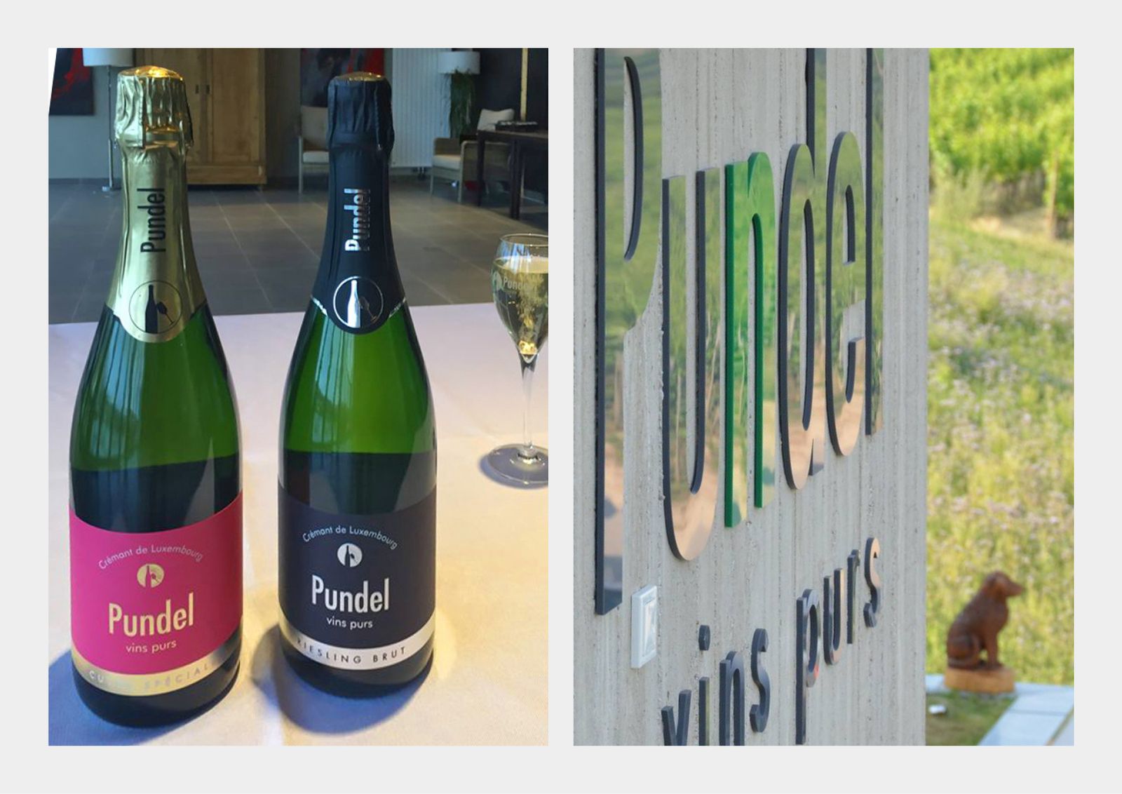 Pundel - Logo Etikett – Ansicht 10