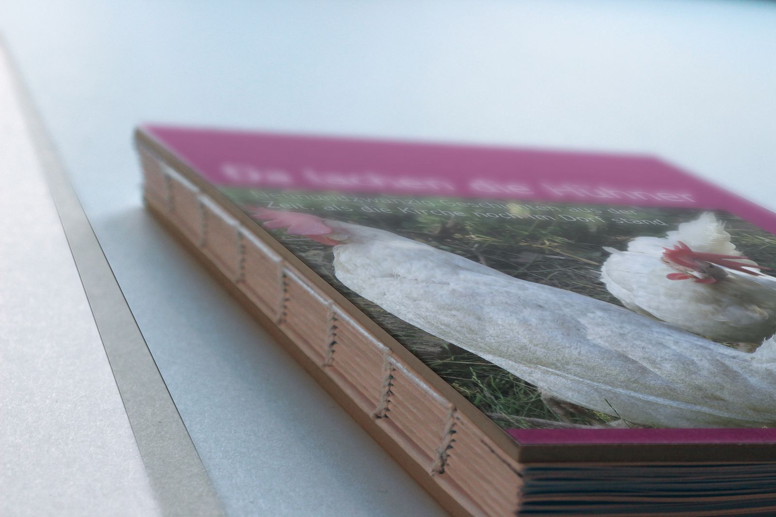 Glaube und Soziales: Projekte Bistum Trier – Ansicht 1