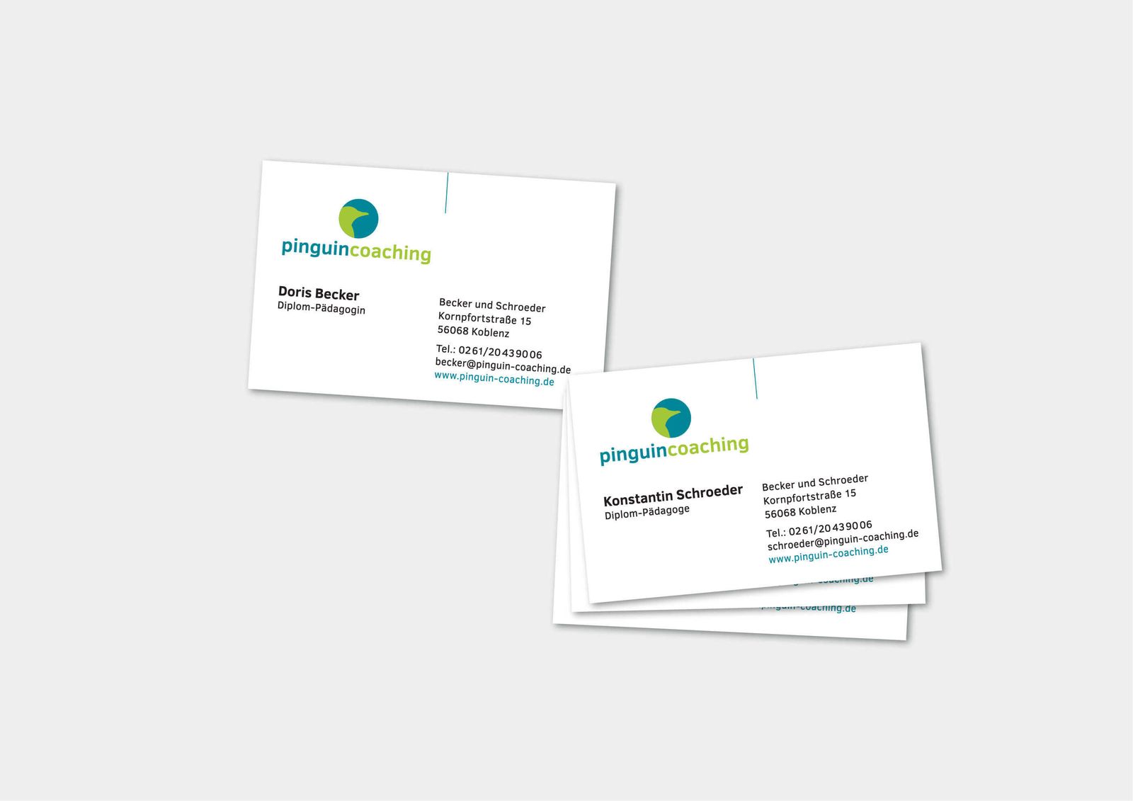 Wort-Bildmarke für Pinguin-Coaching – Ansicht 3