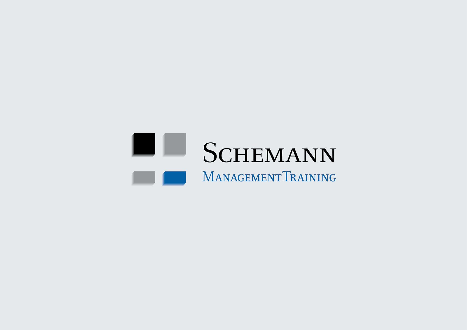 Logo "Schemann Management"