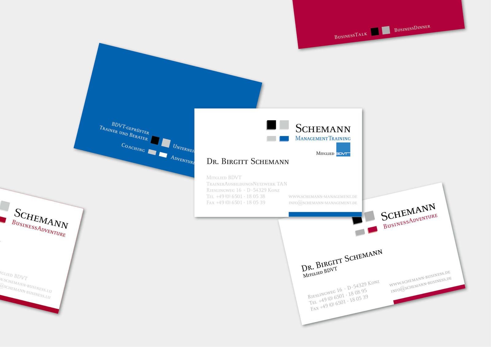 Train the Trainer: Schemann Management Training – Ansicht 3