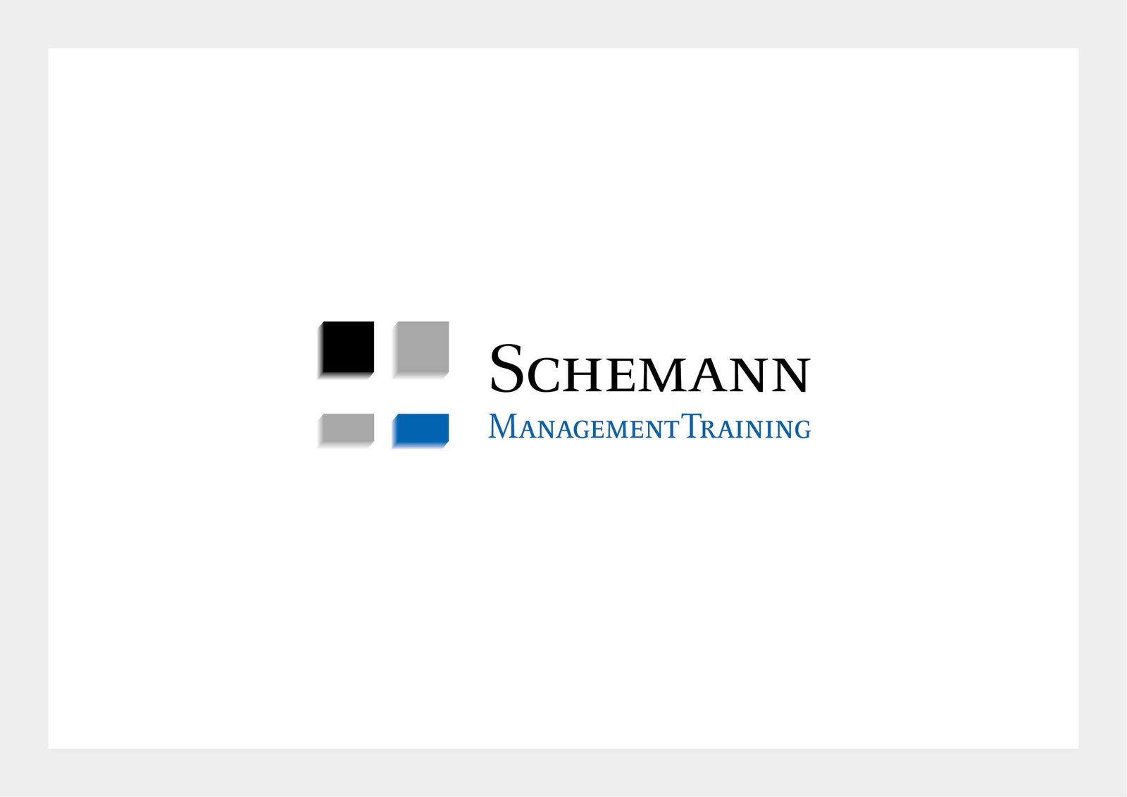 Train the Trainer: Schemann Management Training – Ansicht 1